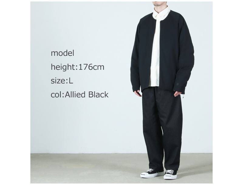 ALLIED Feather + Down(アライドフェザーアンドダウン) NEW Lounge Down Blouson