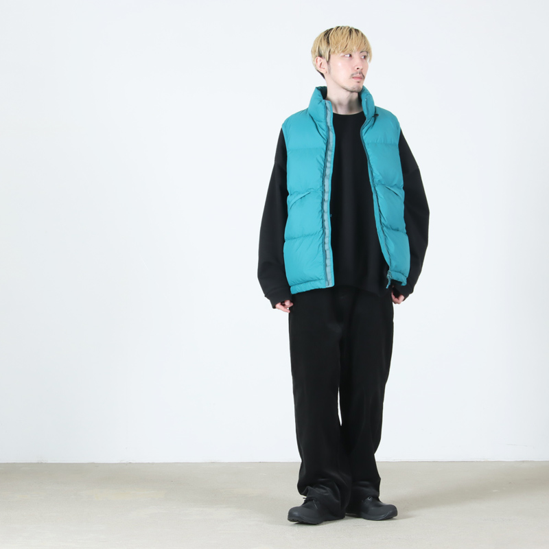 DAIWA PIER39(ダイワピア39) TECH ALPINE DOWN VEST