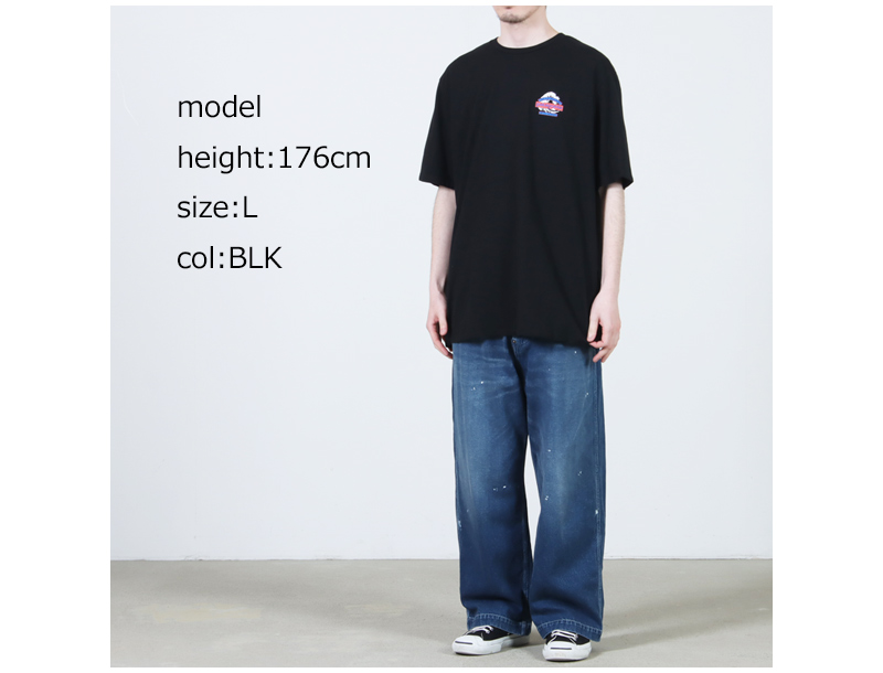 PATAGONIA(パタゴニア) M's Great Waves Responsibili-Tee