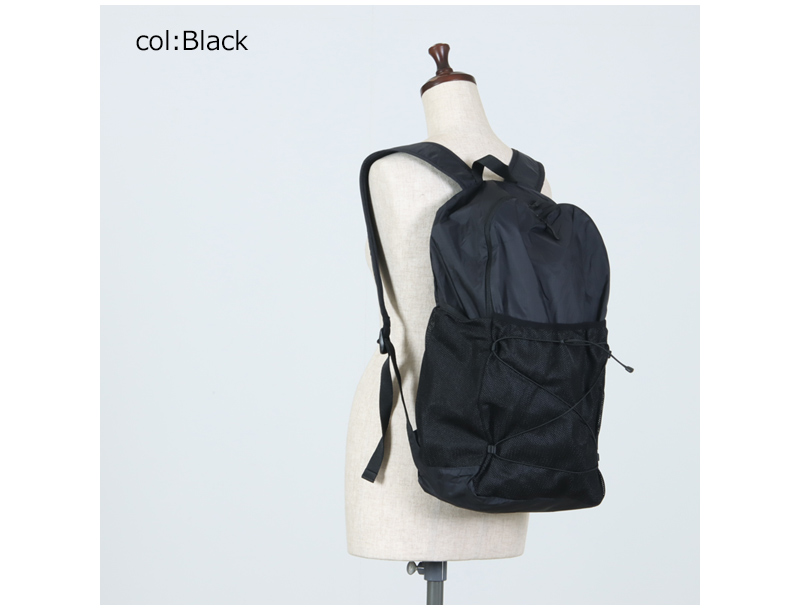 snow peak(スノーピーク) New Standard Packable Backpack