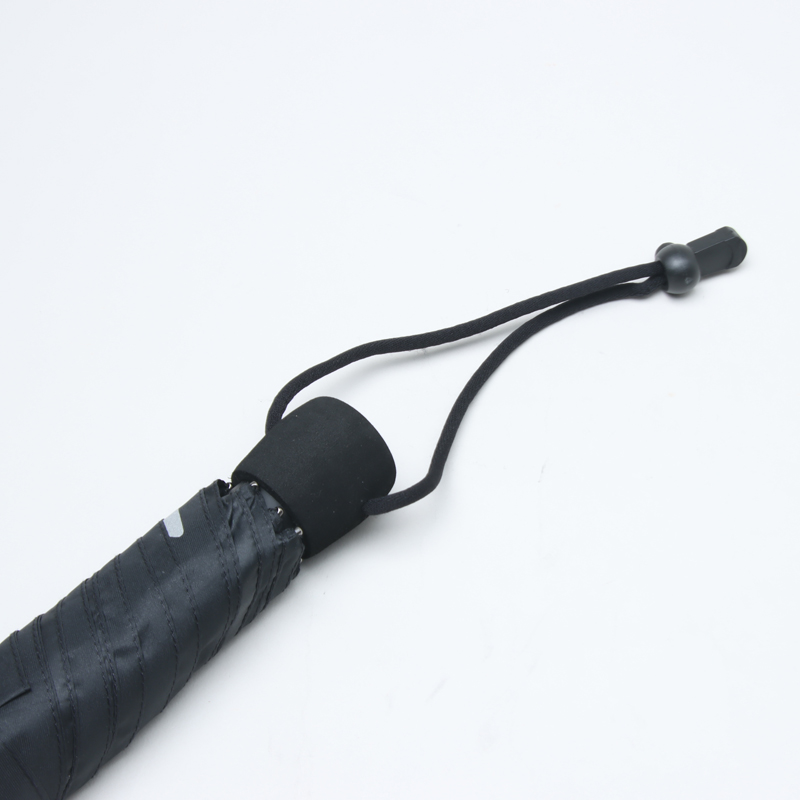 EuroSCHIRM(�桼�������) �饤�ȥȥ�å�����ȥ� �֥�å� ��ե쥯��