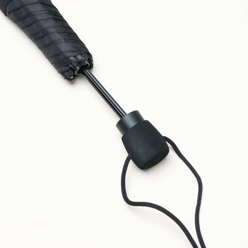 EuroSCHIRM(�桼�������) �饤�ȥȥ�å�����ȥ� �֥�å�