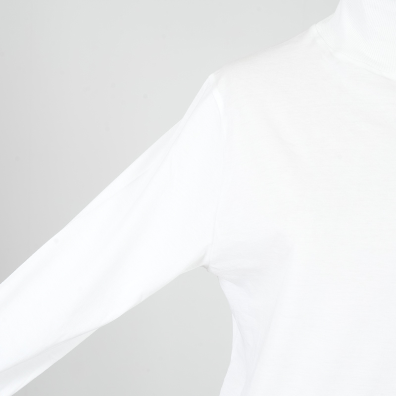 ALWEL(���륦����) LONG SLLVE ROLL NECK T
