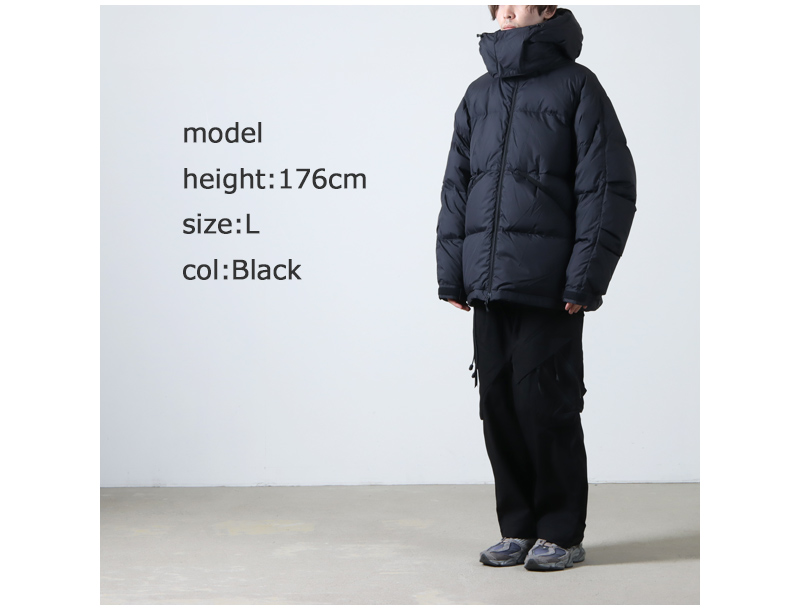 DAIWA PIER39(ԥ39) TECH ALPINE DOWN PARKA