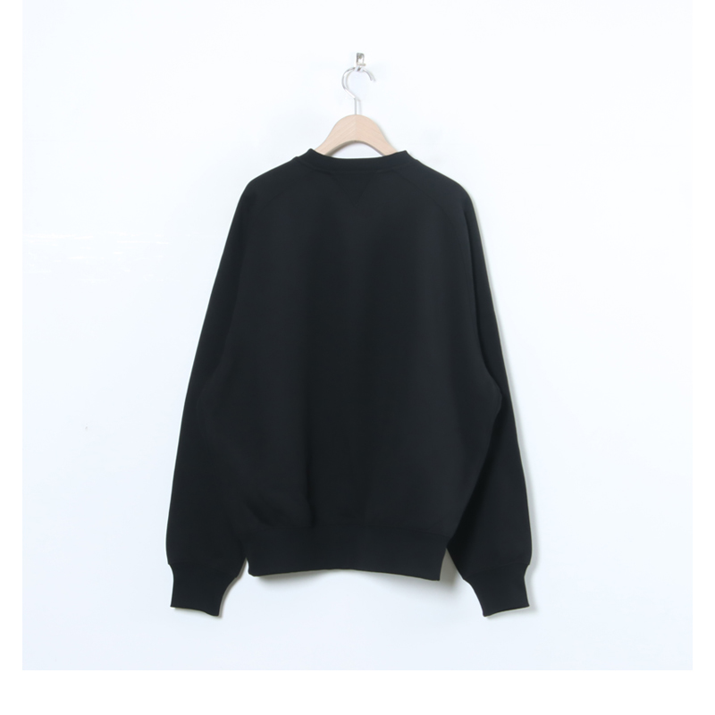 DAIWA PIER39(ԥ39) TECH SWEAT CREW FREEDOM SLEEVE