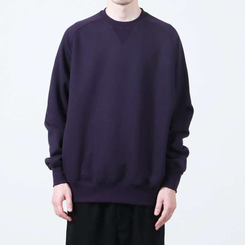 DAIWA PIER39(ԥ39) TECH SWEAT CREW FREEDOM SLEEVE