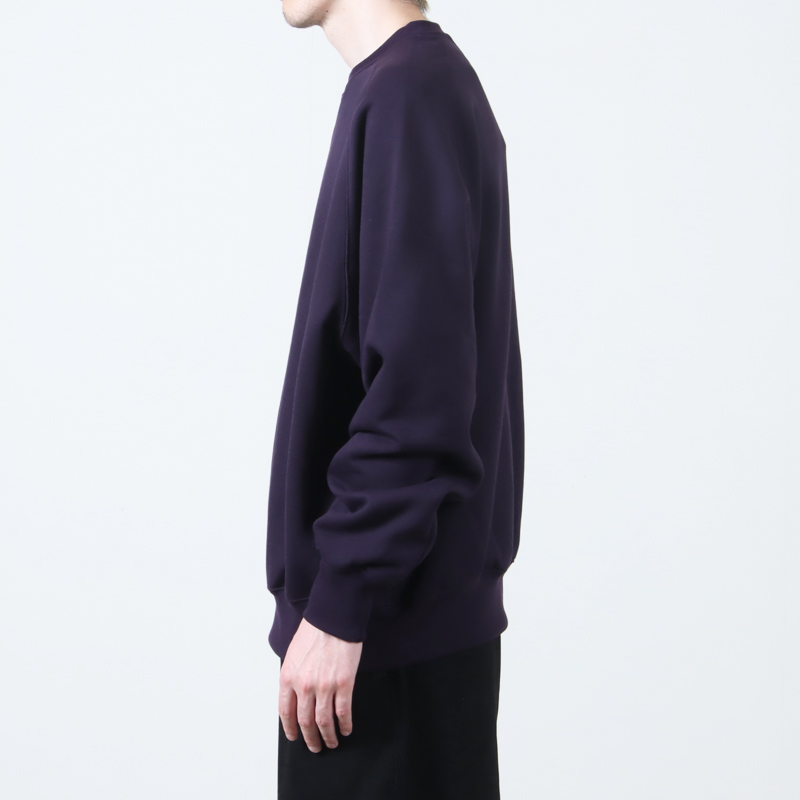 DAIWA PIER39(ԥ39) TECH SWEAT CREW FREEDOM SLEEVE
