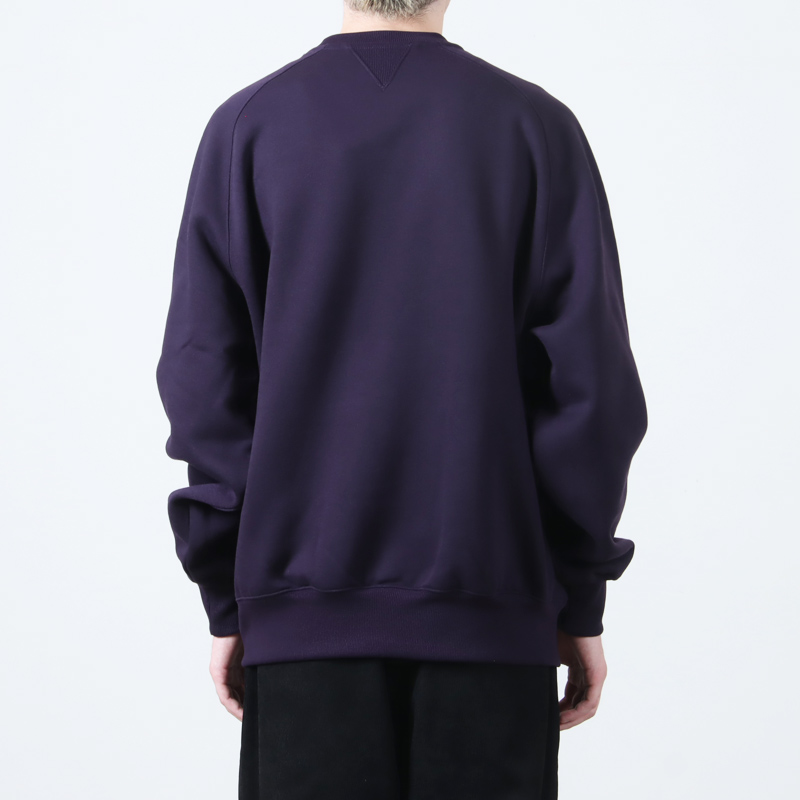 DAIWA PIER39(ԥ39) TECH SWEAT CREW FREEDOM SLEEVE