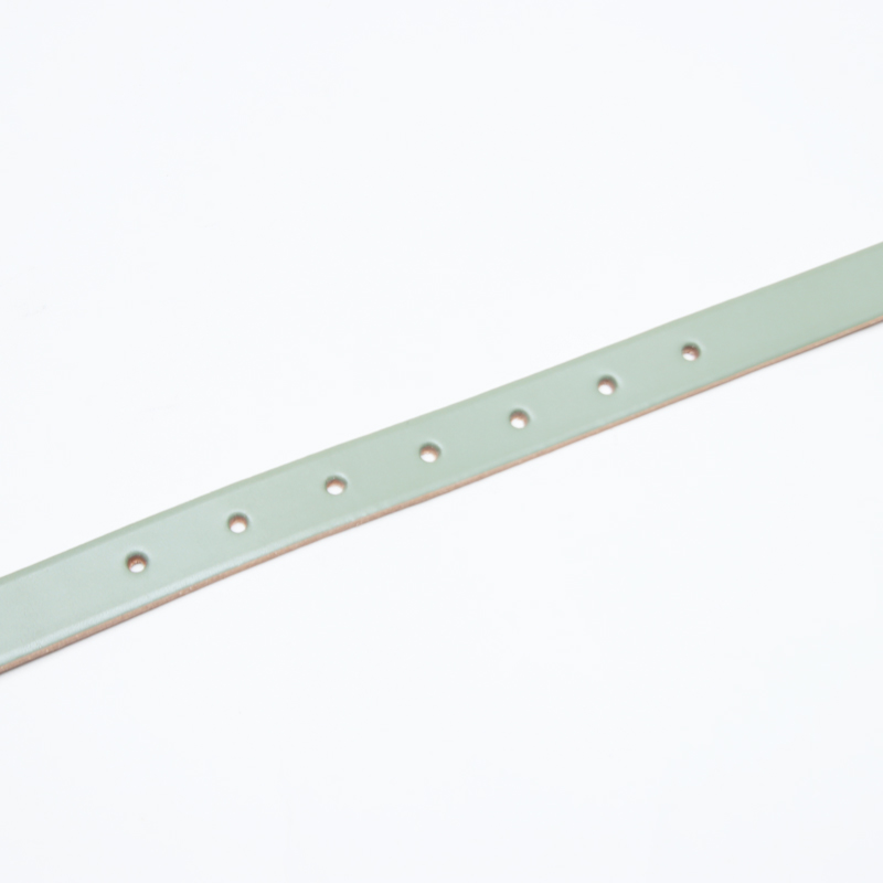 Dulcamara(�ɥ��륫�ޥ�) ���顼�Хå�����󥰥٥�� - Green