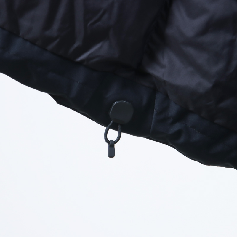 Goldwin(ɥ) GORE-TEX Snow Range Down M/L Jacket