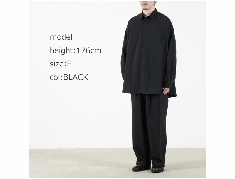 Graphpaper(����եڡ��ѡ�) DESCENTE for Graphpaper L/S Oversized Regular Collar Shirt