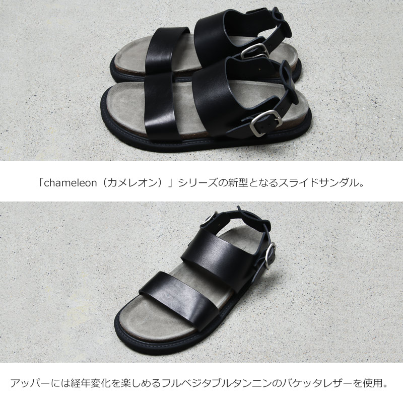 Hender Scheme() chameleon slide