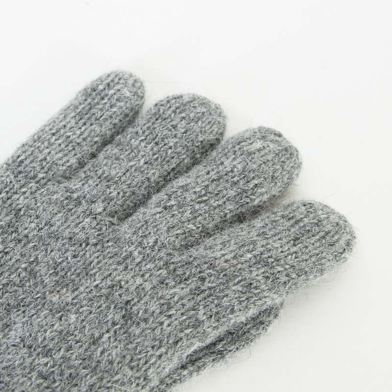 HESTRA(إȥ) Basic Wool Glove