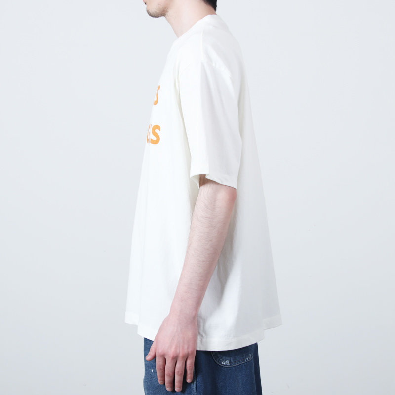 Ordinary Fits(�����ǥ��ʥ꡼�ե��å�) PRINT-TEE A&O