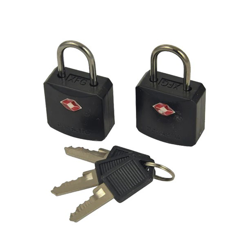 Pacsafe(ѥå) Pacsafe ץ 620 ֥å