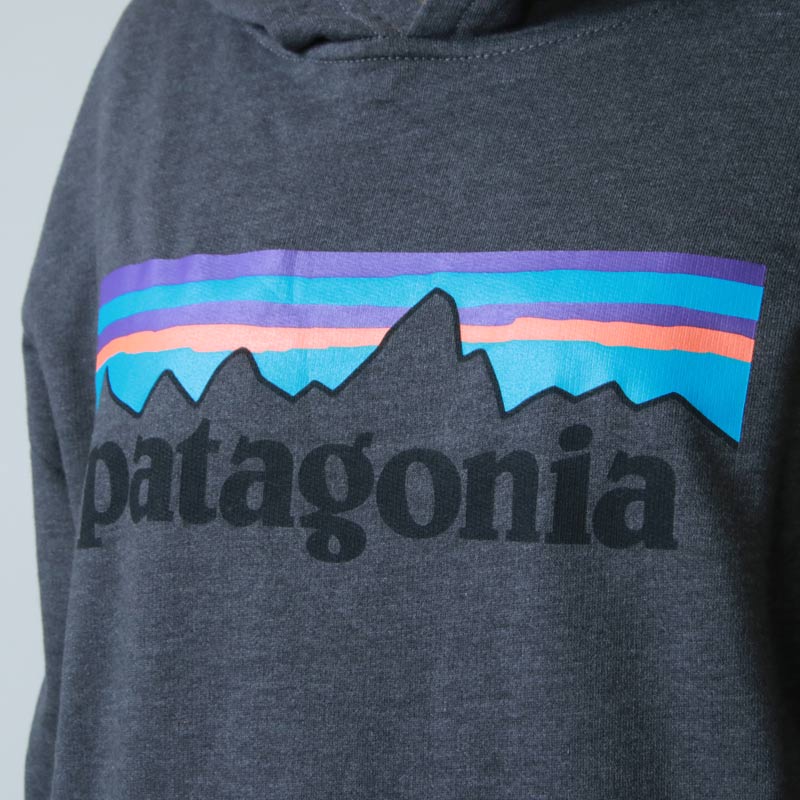 PATAGONIA(ѥ˥) K's LW Graphic Hoody Sweatshirt