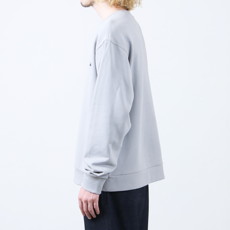 PATAGONIA(ѥ˥) Daily Crewneck Sweatshirt