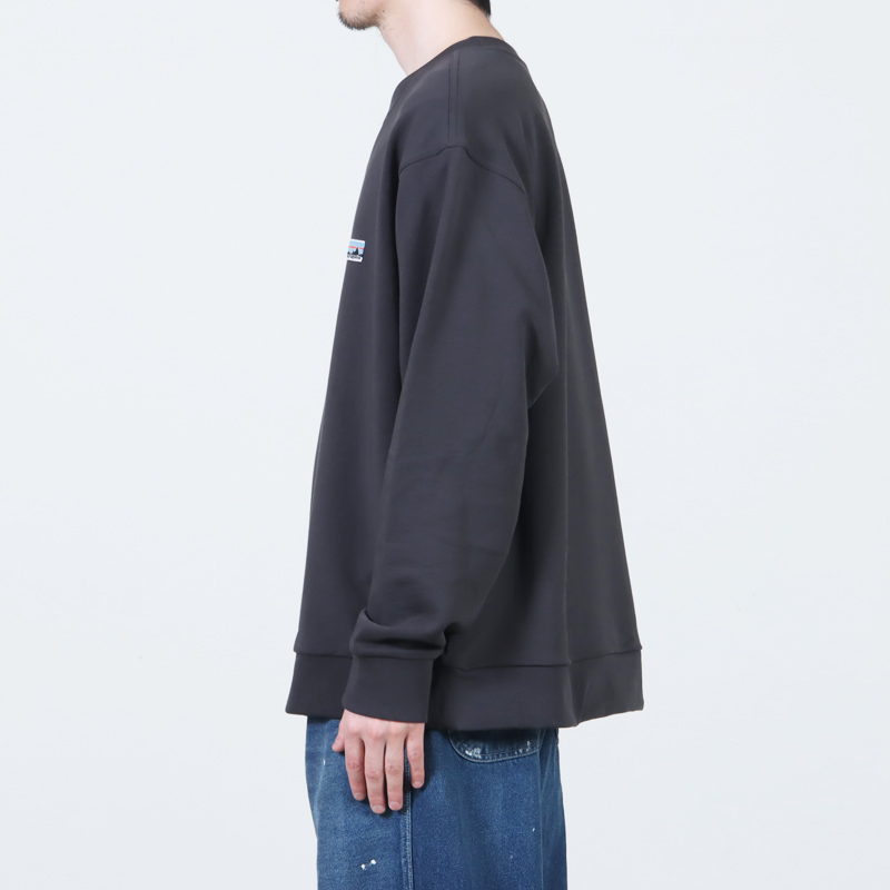 PATAGONIA(�ѥ����˥�) Daily Crewneck Sweatshirt