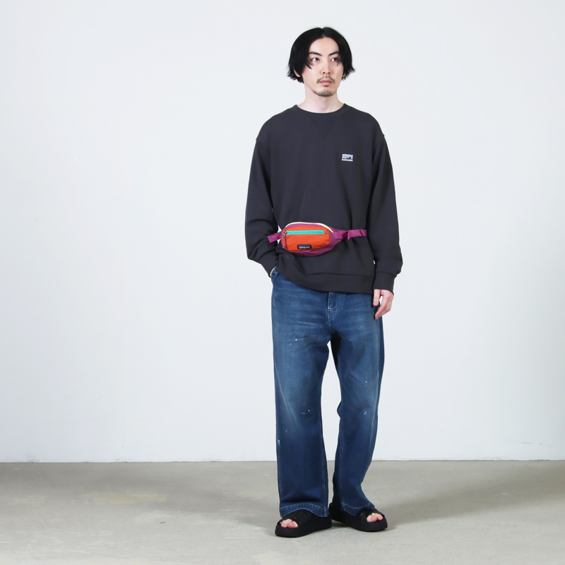 PATAGONIA(�ѥ����˥�) Terravia Mini Hip Pack 1L