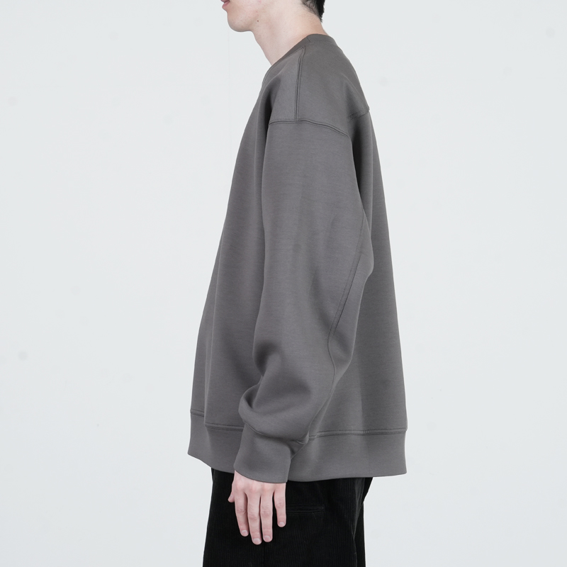 PERS PROJECTS(ѡץ) FRITZ CREW TRAINER