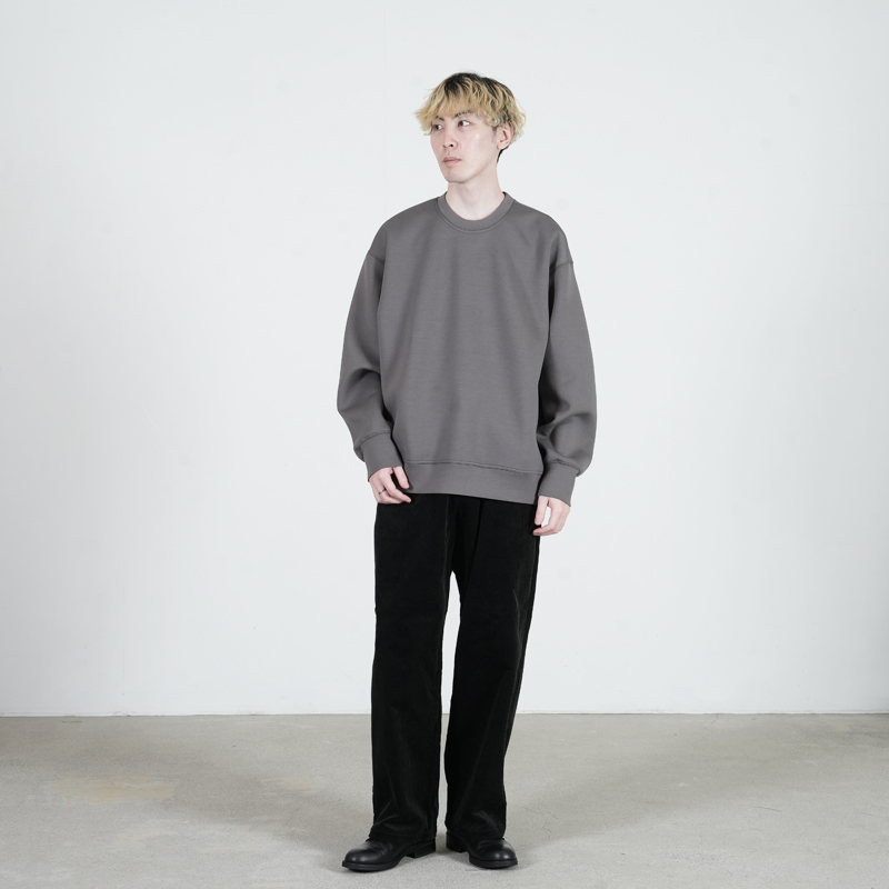 PERS PROJECTS(ѡץ) FRITZ CREW TRAINER