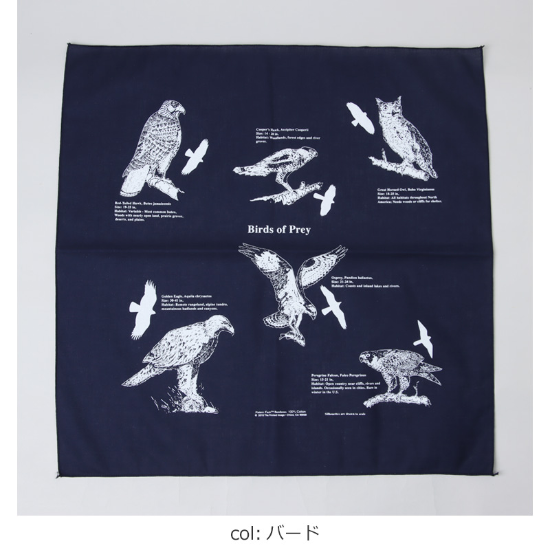 Printed Image(�ץ��ƥ��åɥ��᡼��) �ͥ����㡼�ץ��ȥХ����