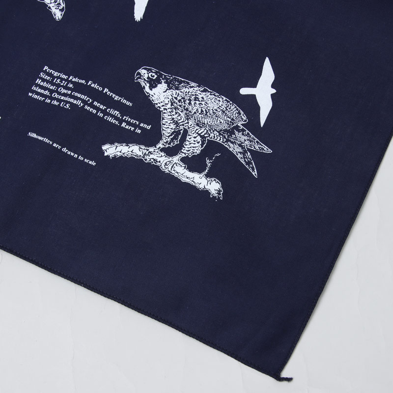 Printed Image(�ץ��ƥ��åɥ��᡼��) �ͥ����㡼�ץ��ȥХ����