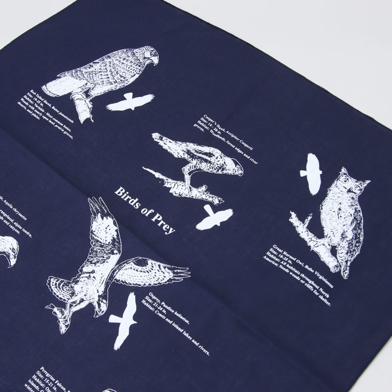 Printed Image(�ץ��ƥ��åɥ��᡼��) �ͥ����㡼�ץ��ȥХ����