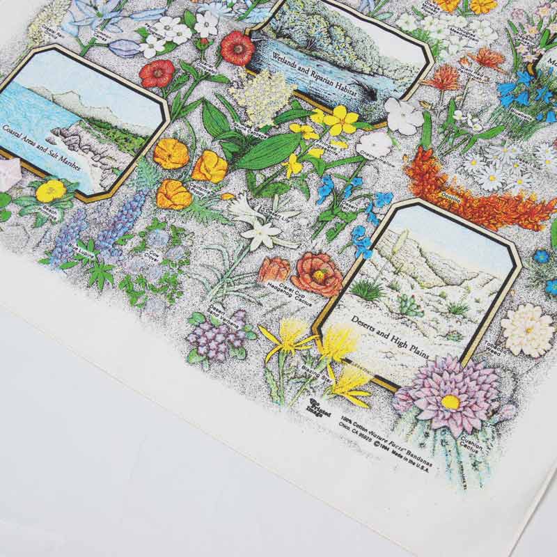 Printed Image(�ץ��ƥ��åɥ��᡼��) �ͥ����㡼�ץ��ȥХ����