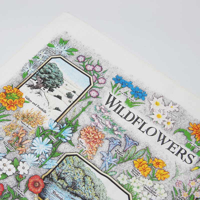 Printed Image(�ץ��ƥ��åɥ��᡼��) �ͥ����㡼�ץ��ȥХ����