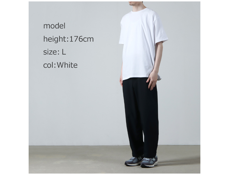 THE NORTH FACE PURPLE LABEL(�� �Ρ����ե����� �ѡ��ץ�졼�٥�) Pack Field Tee