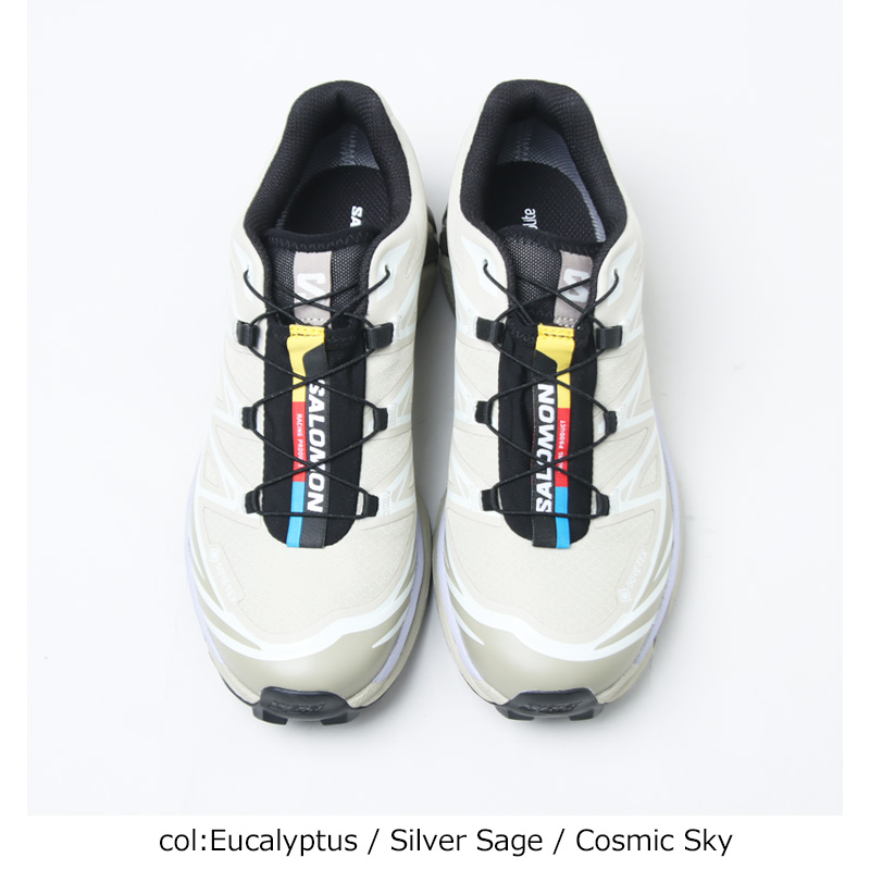 Salomon(�������) XT-6 GTX