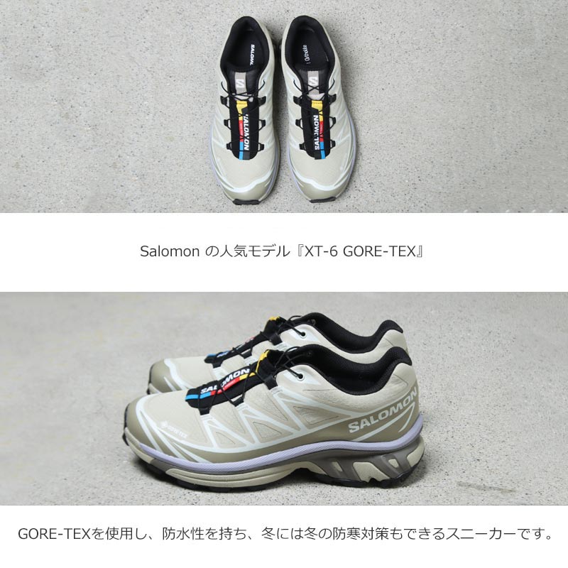 Salomon(�������) XT-6 GTX