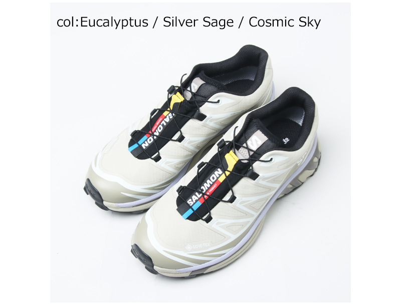 Salomon(�������) XT-6 GTX