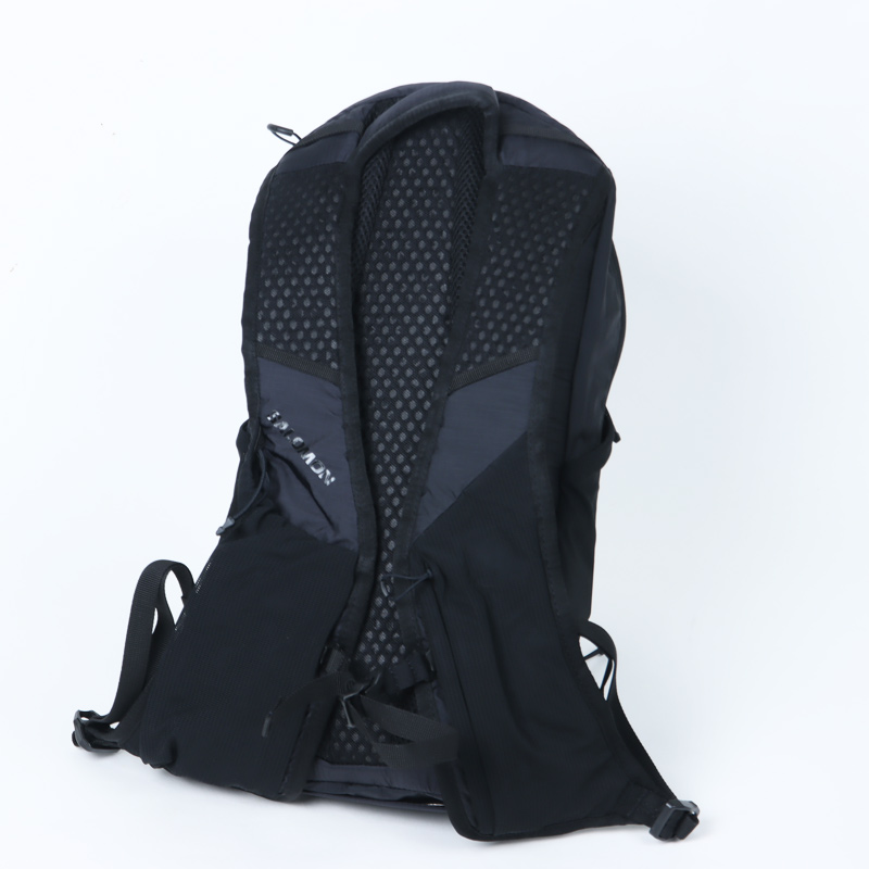 Salomon(�������) XT 10