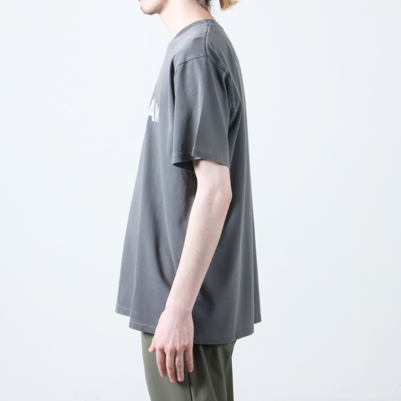 snow peak(Ρԡ) Recycled Cotton Dyed T-Shirt SP