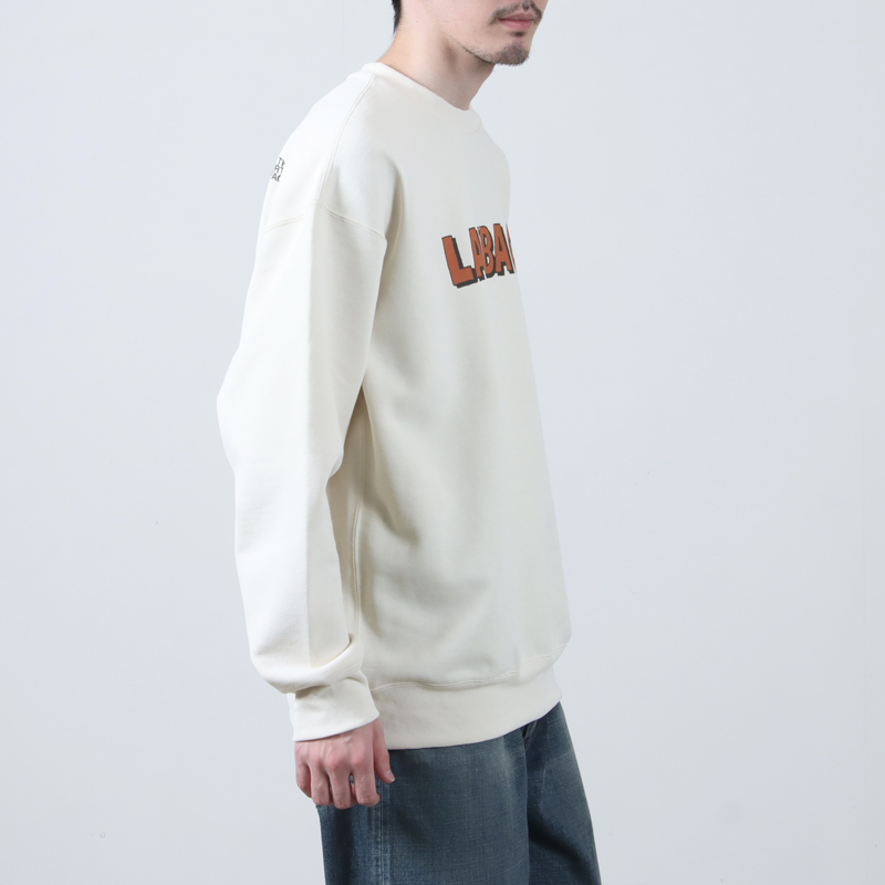 THE NORTH FACE(Ρե) LAYBACK Crew
