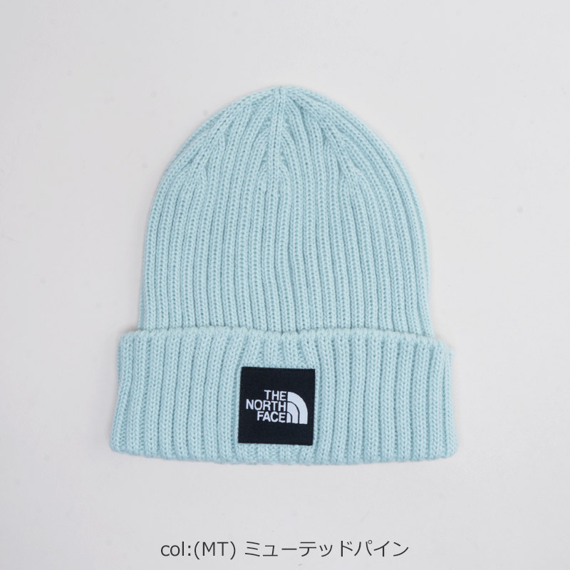 THE NORTH FACE(���Ρ����ե�����) Cappucho Lid