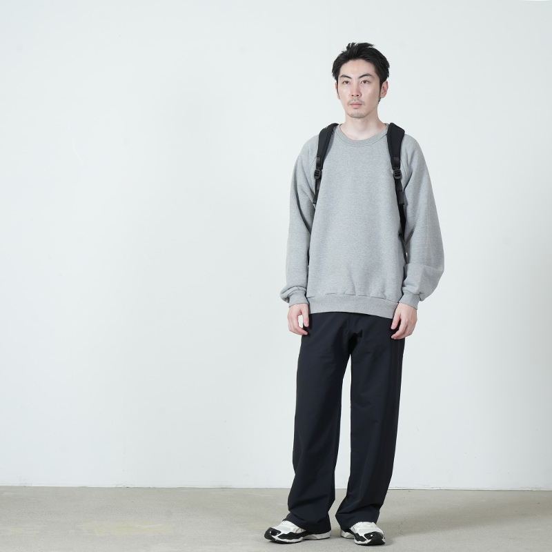 THE NORTH FACE(���Ρ����ե�����) Ficus Pack