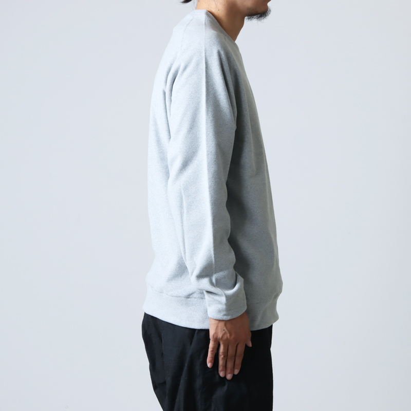 THE NORTH FACE (ザノースフェイス) Micro Fleece Crew / マイクロ