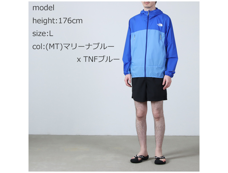 THE NORTH FACE(���Ρ����ե�����) Swallowtail Hoodie #MEN