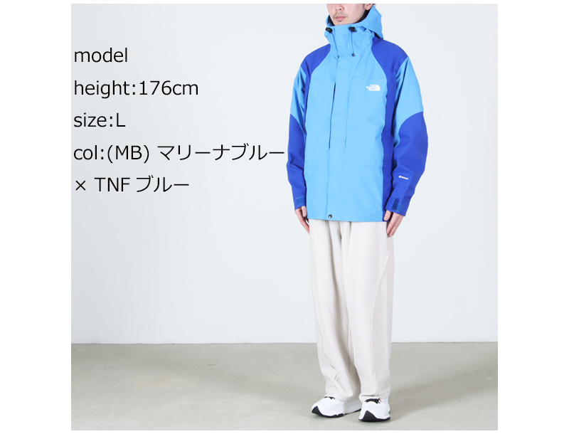 THE NORTH FACE(���Ρ����ե�����) 2000 Retro Mountain Light Jacket