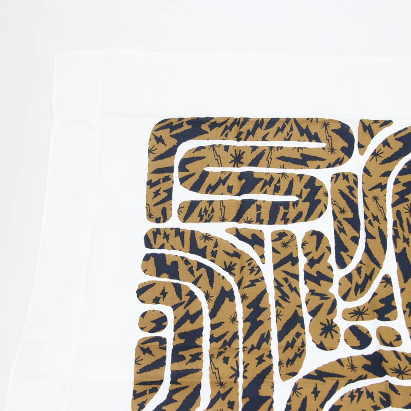 THE NORTH FACE(���Ρ����ե�����) Layback Bandana