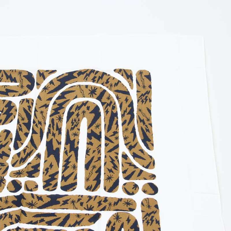 THE NORTH FACE(���Ρ����ե�����) Layback Bandana