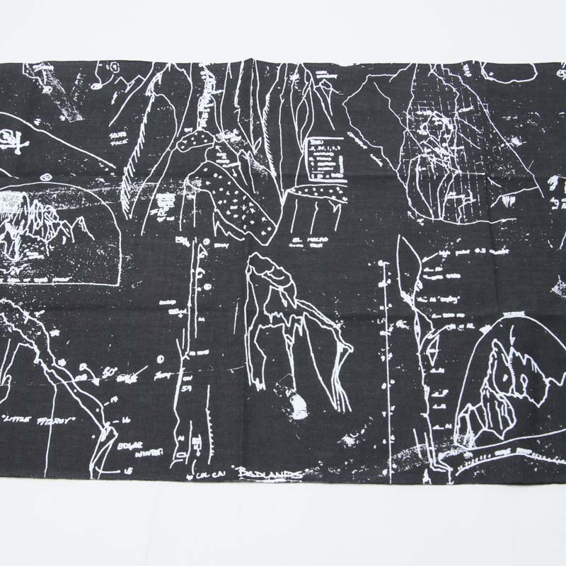 THE NORTH FACE(���Ρ����ե�����) Conrad Topo Tenugui